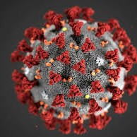 Informations épidémie CORONAVIRUS - COVID 19